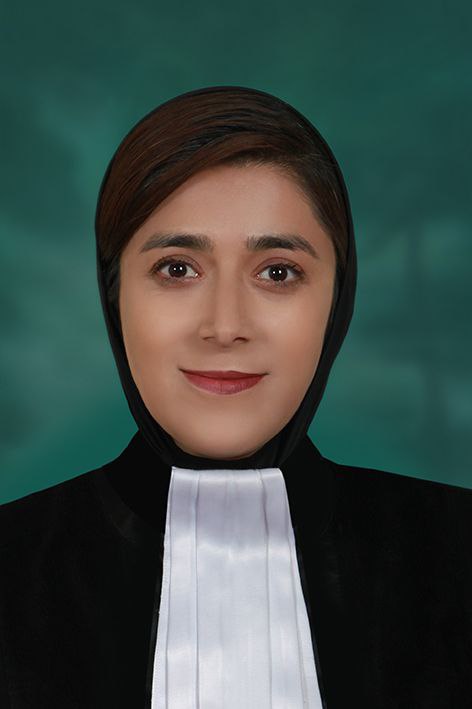 تصویر وکیل
